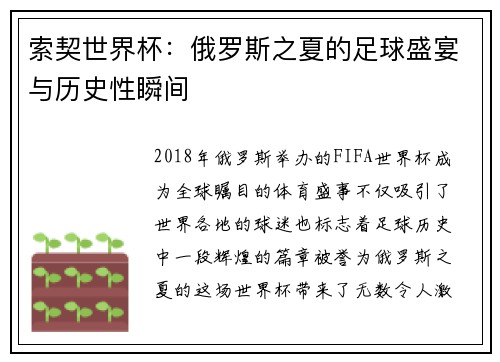 索契世界杯：俄罗斯之夏的足球盛宴与历史性瞬间